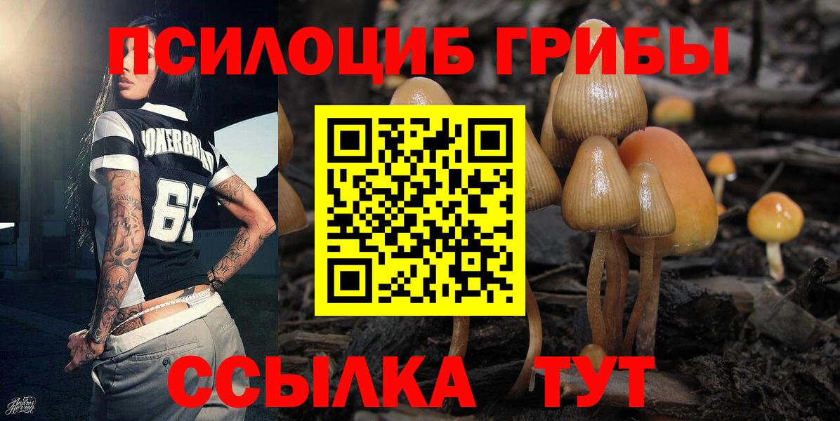 Галлюциногенные грибы мухоморы Мичуринск