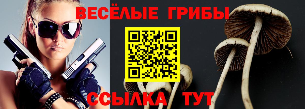 Псилоцибиновые грибы Cubensis  Вход с VPN  Галлюциногенные грибы Cubensis  Мичуринск 