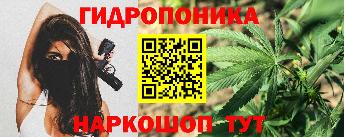 Каннабис гибрид Мичуринск